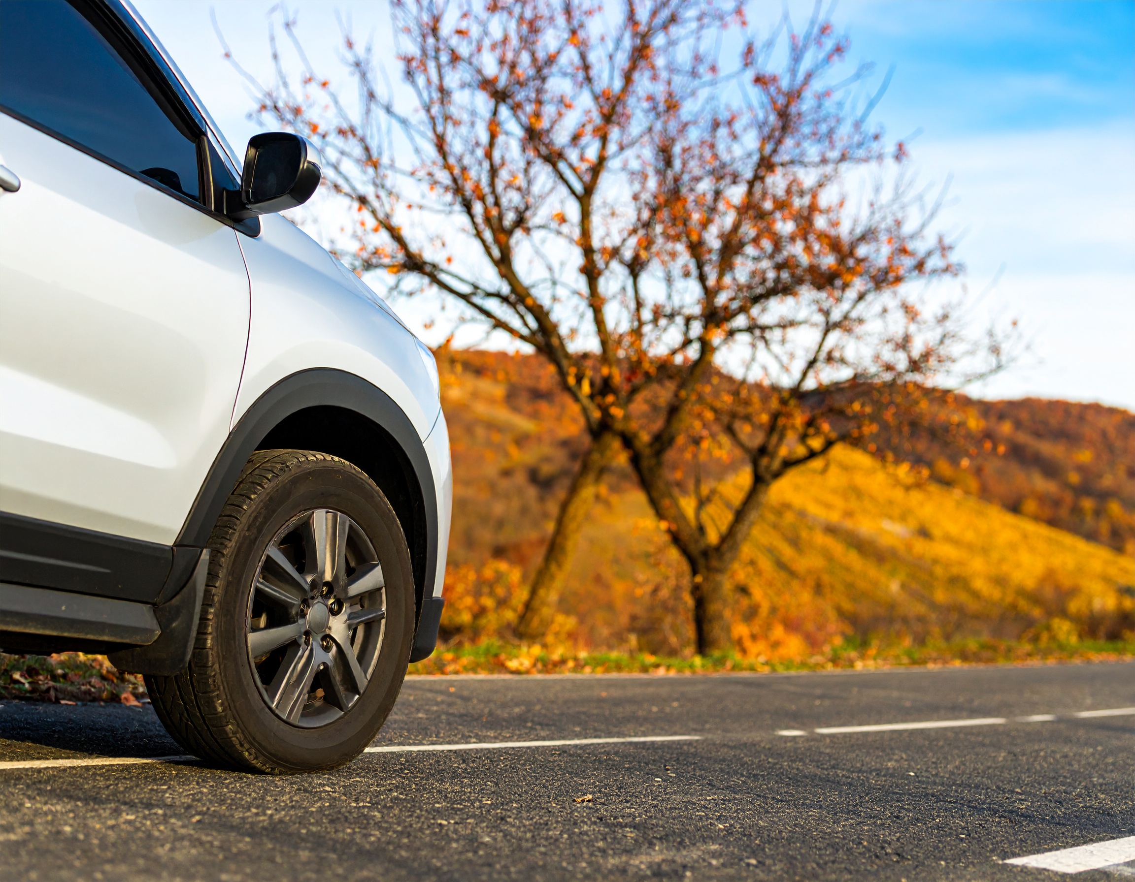 SUV & Crossovers